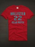 Camiseta Hollister Masculina
