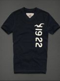 Camiseta Hollister Masculina