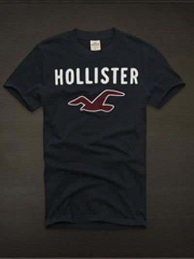 Camiseta Hollister Masculina
