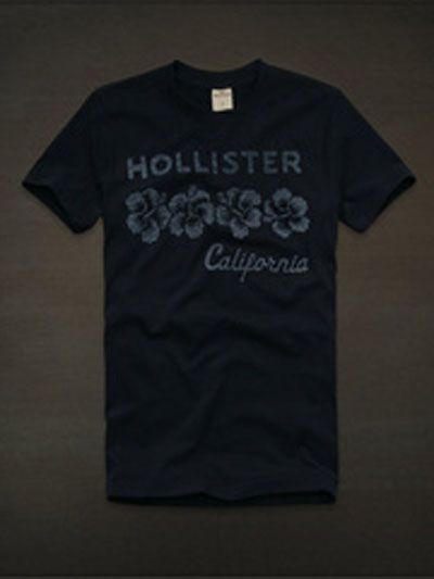 Camiseta Hollister Masculina