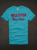 Camiseta Hollister Masculina