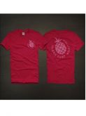 Camiseta Hollister Masculina