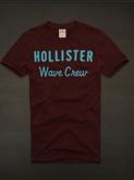 Camiseta Hollister Masculina
