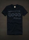 Camiseta Hollister Masculina