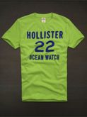 Camiseta Hollister Masculina