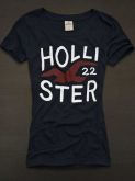 Camiseta Hollister Feminina