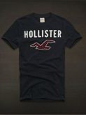 Camiseta Hollister Masculina